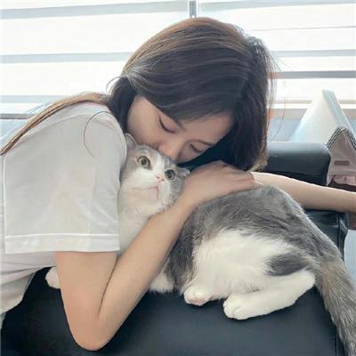 半妖的夜叉姬第一季